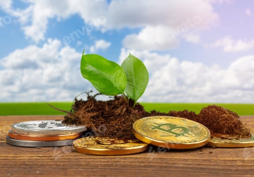 Preview: Sprout plant and bitcoin, growth of bitcoin crypto currency