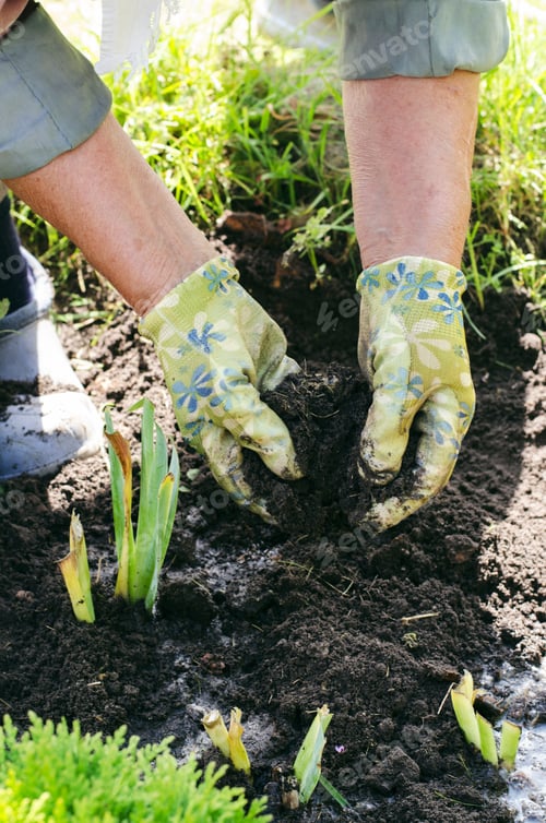 Preview: Gardening. Herbal gardening