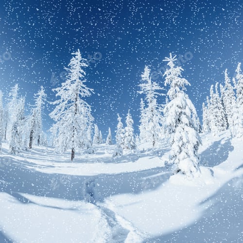 Preview: Fantastic winter landscape and trodden trails that lead into the