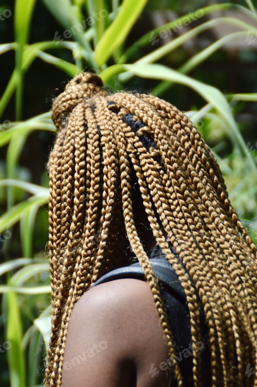 Preview: Rear portrait of an Afro-American woman with braids
