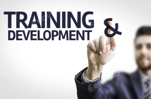 Preview: Business Man Pointing To Transparent Board With Text: Training & Development