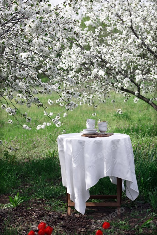 Preview: breakfast in the spring garden
