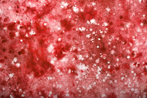 Preview: The Blurry Watercolor On A White Sheet Background Image