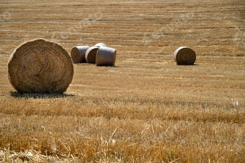 Preview: hay bales