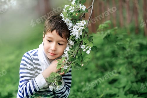 Preview: Boy standing near blooming apple tree and deep in thoughts