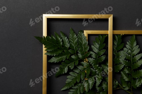 Preview: top view of golden frames on black background with copy space and green fern leaves