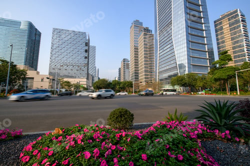 Cityscape with Skyscrapers, Street, and Pink Flowers