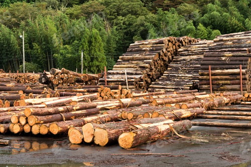 Preview: Wood preparation