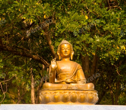 Preview: Beautiful golden buddha statue at India