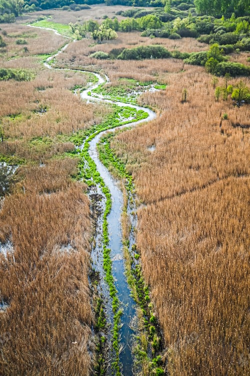 Preview: Aerial view of river and swamps in Poland