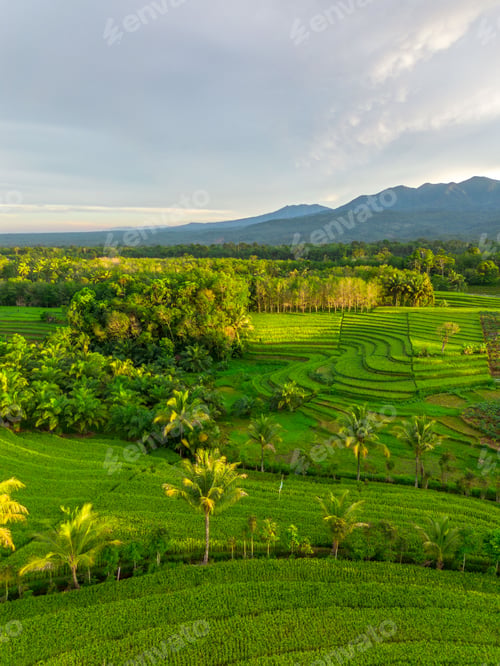 Preview: Beautiful morning view indonesia Panorama Landscape