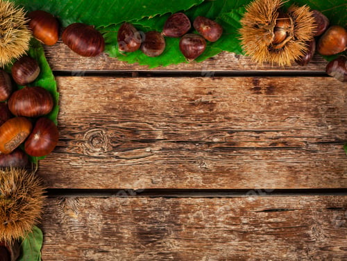 Preview: Frame of chestnuts, leaves and chestnut bur.