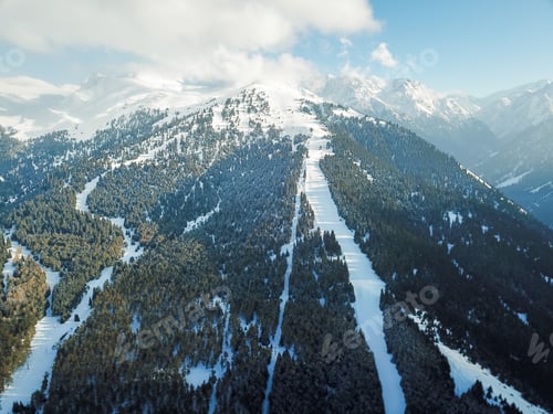 Preview: Snowy mountains with fir trees