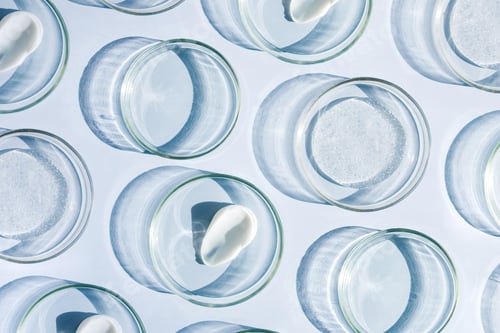 Preview: pattern petri dish with cream smear sample on light background