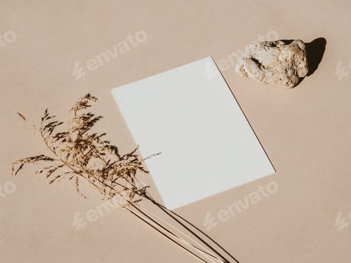 Preview: Business card mockup, dry plants and stone on beige background