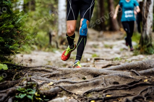 Preview: Running Marathon Runner in Forest