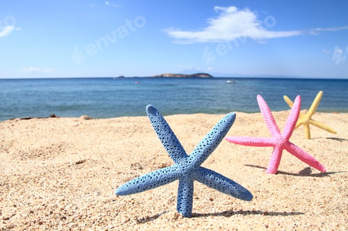 Preview: Colorful starfish on the beach at summer