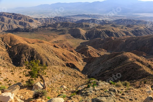 Preview: View Into The Valley, Joshua Tree National Park, California