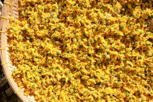 Preview: dried chrysanthemum flowers used for making herbal tea