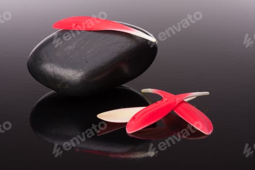 Preview: Spa stone and flower petal still life. Healthcare concept.