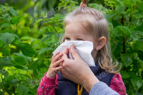 Preview: Father helps little girl wipe snot from her nose due to spring allergies