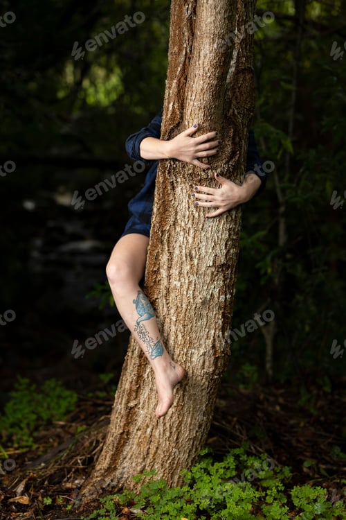 Preview: Young female hugging a tree trunk in a forest
