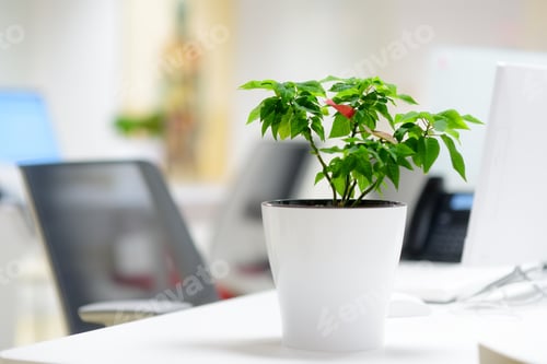 Preview: View of a comfortable workplace in a modern office