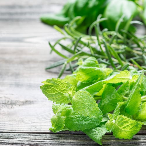 Preview: Basil, mint and rosemary. Fresh green herbs laying on wooden bac