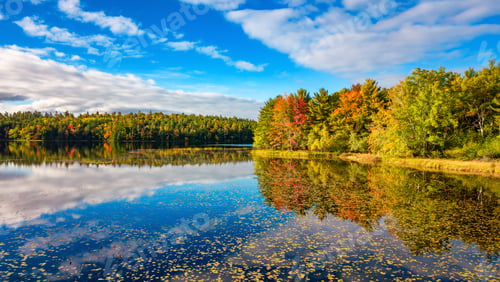 Vorschau: Lebendige Bäume und Landschaft am See. Nova Scotia, Kanada