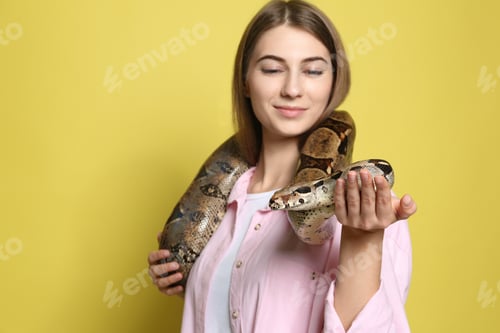 Preview: Young woman with boa constrictor on yellow background, focus on hand. Exotic pet