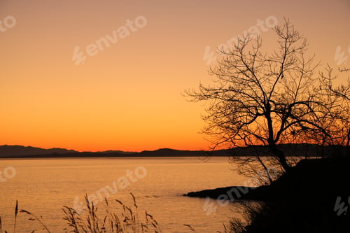 Preview: Sunset
