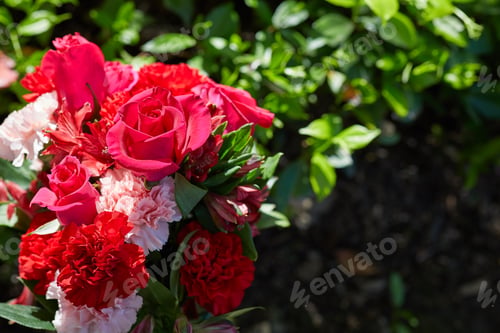 Preview: Photo of fresh colorful flowers at garden