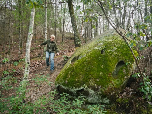 Preview: Mossy rocks hike