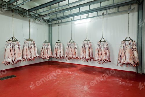 Preview: Slaughter house
