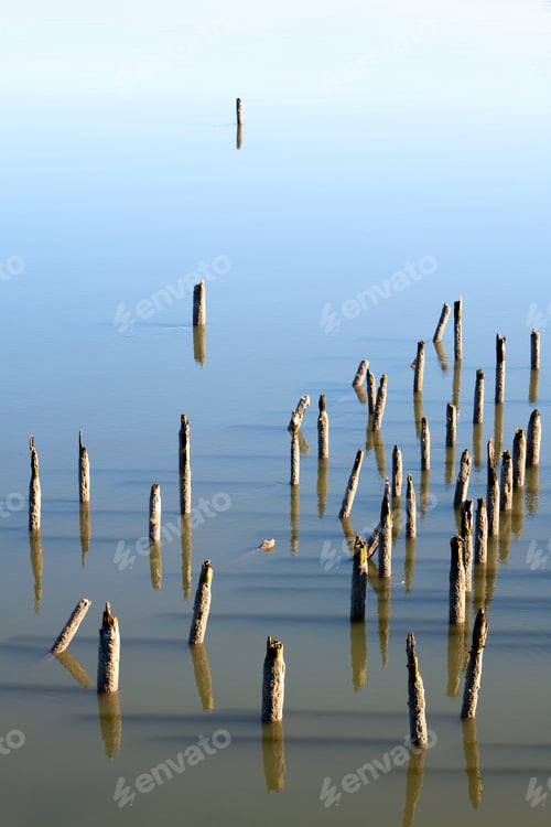 Preview: Old Wood Pilings in Water, Oregon, USA