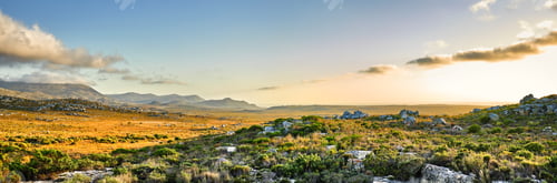 Preview: The wilderness of Cape Point National Park, Western Cape, South Africa