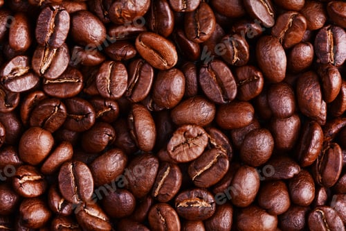 Preview: roasted coffee beans, can be used as a background
