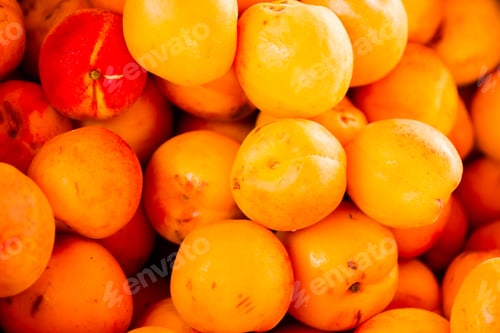 Preview: Apricots