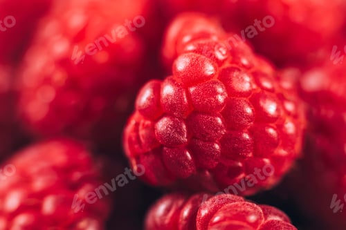 Preview: Raspberries Macro Close Up