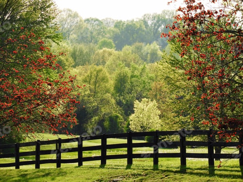Rustic Wooden Fence with Lush Green Trees