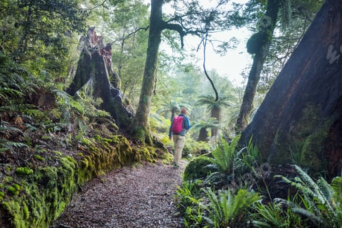 Preview: Tramping