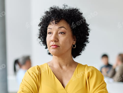 Preview: Senior businesspeople having a meeting in the office