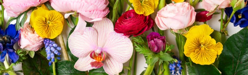 Preview: Ranunculus flat lay composition