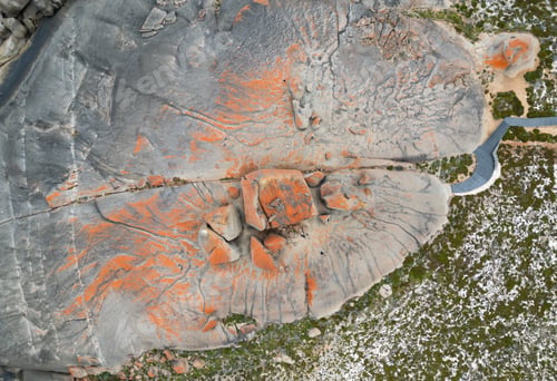 Preview: an orange lichen covered rock sitting on top of a field
