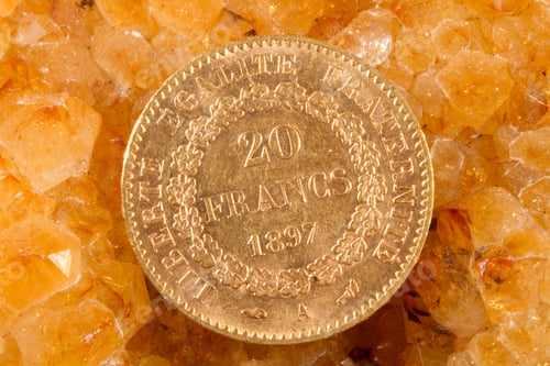 Preview: Twenty French Francs coins