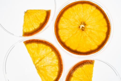 Preview: Translucent orange slices isolated on white backlit background