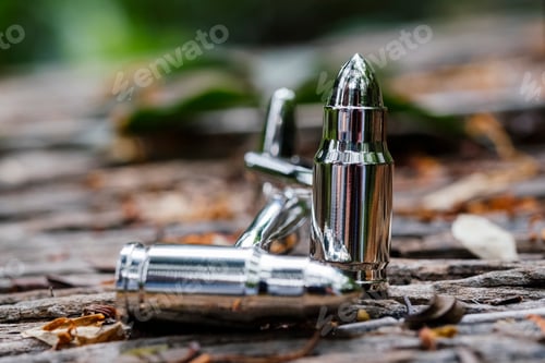 Preview: Closeup of silver bullets. Selected focus.