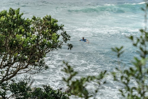 Preview: aerial view of man swimming on surfboard with green trees on foreground, Leigh beach, New Zealand