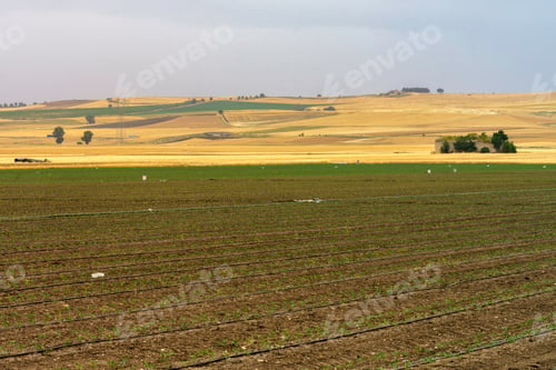 Preview: Country landscape in Basilicata, Italy, at summer