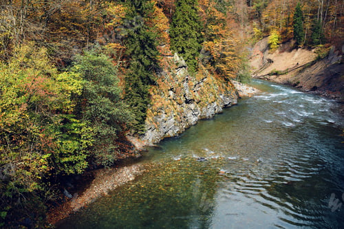 Preview: Autumn forest mountains nature river travel landscape